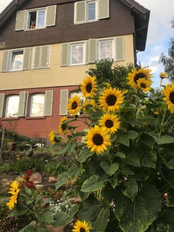 Sonnige Ferienwohnung Schramberg Exterior foto